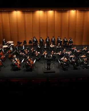 John Violinist Live!