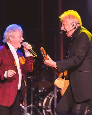 Air Supply